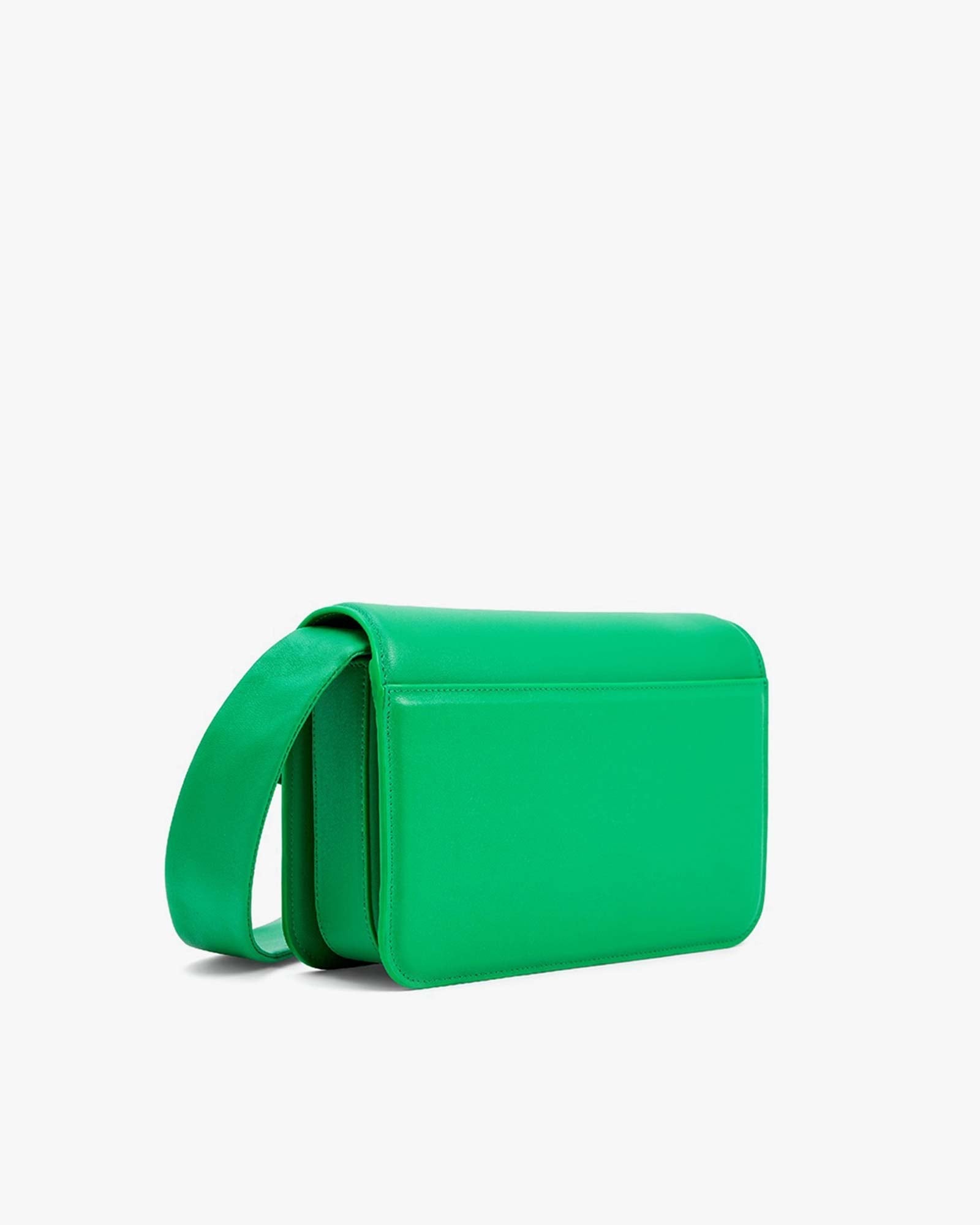 IRIS MOYEN - Vert prairie