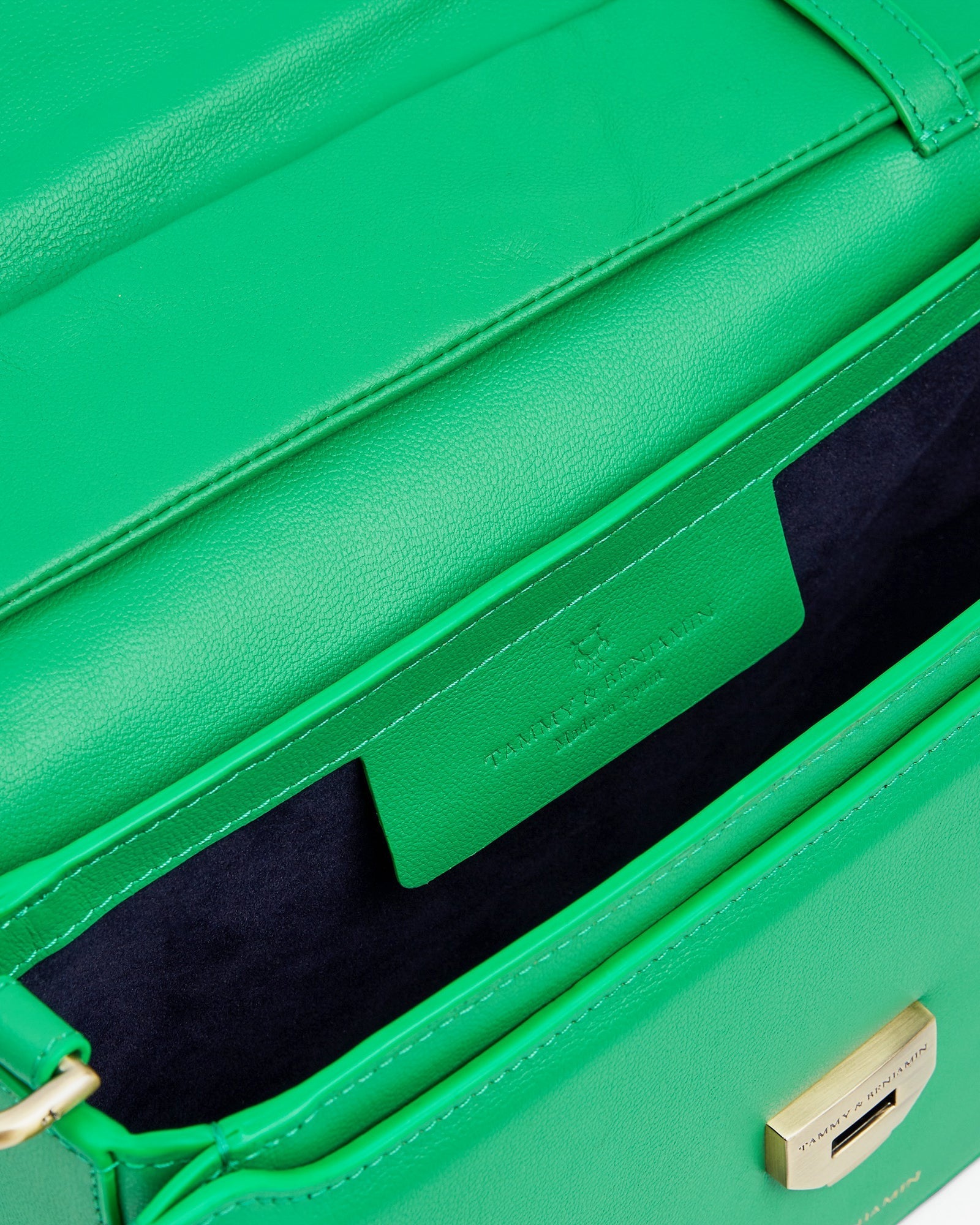 IRIS MOYEN - Vert prairie