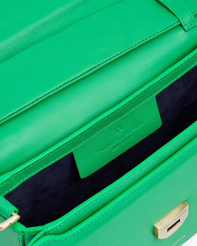 IRIS MOYEN - Vert prairie